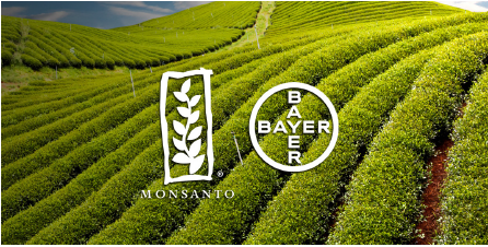 Condenan a Bayer-Monsanto por los efectos cancerígenos de Roundup
