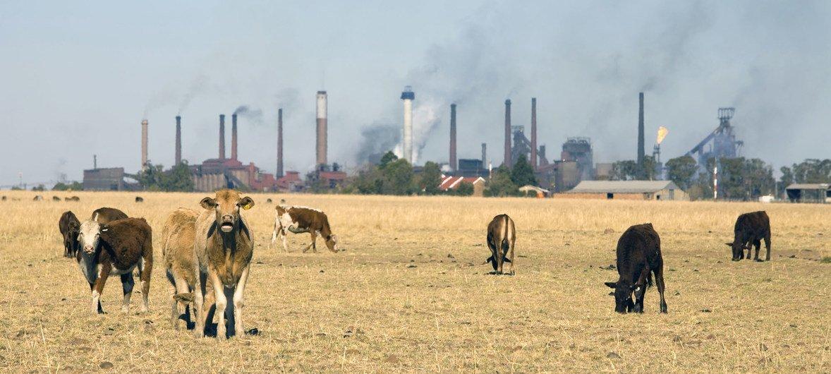 El cambio climático: un desafío permanente