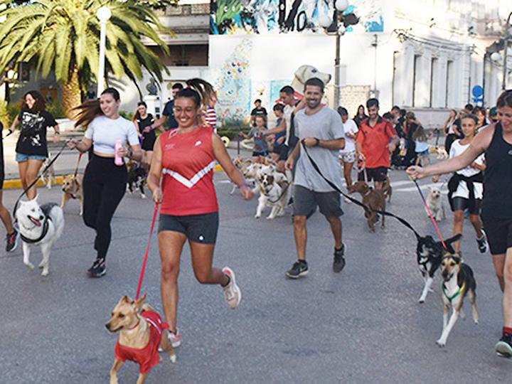 Las mascotas tuvieron su maratón