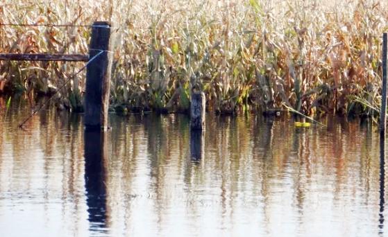 Ahora las lluvias son excesivas en la región Este