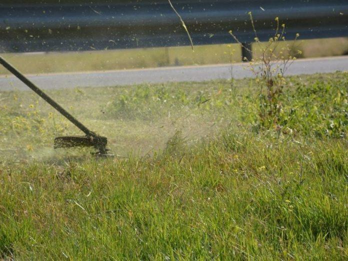 Los vecinos se ponen las pilas y empiezan a limpiar baldíos