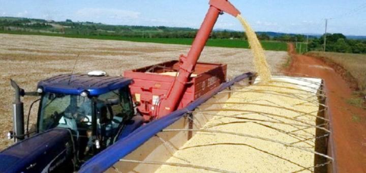 La comercialización de granos sigue lenta