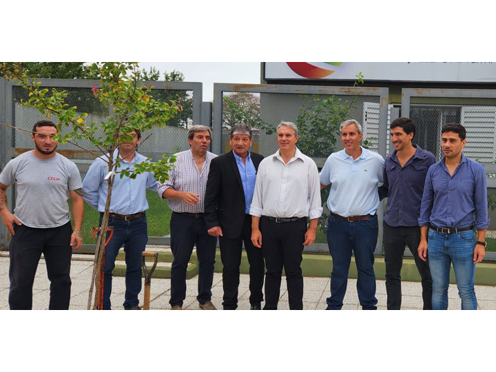 Plantaron árboles frente a la sede de Netelcoop