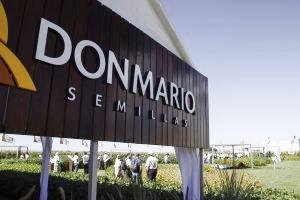 Don Mario compró el negocio de maíz y sorgo de KWS