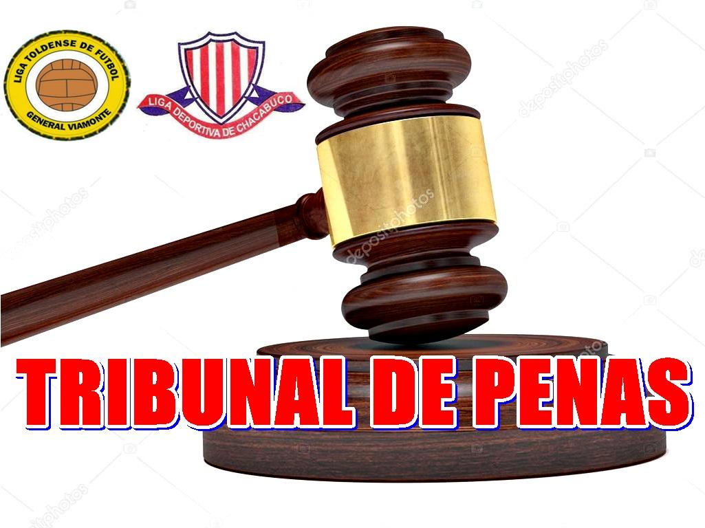 Se elige nuevo Tribunal de Disciplina