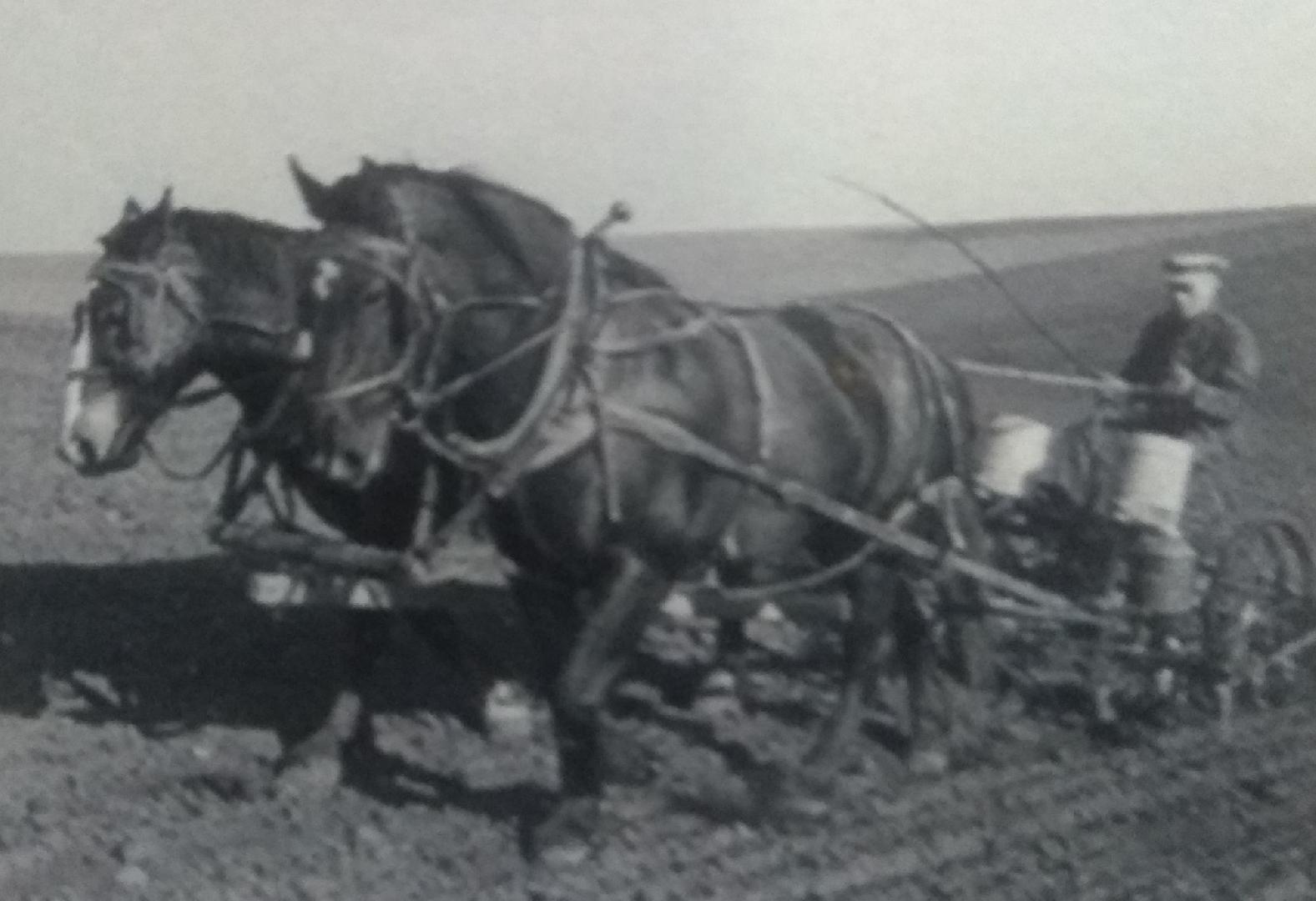 Las siembras de antes