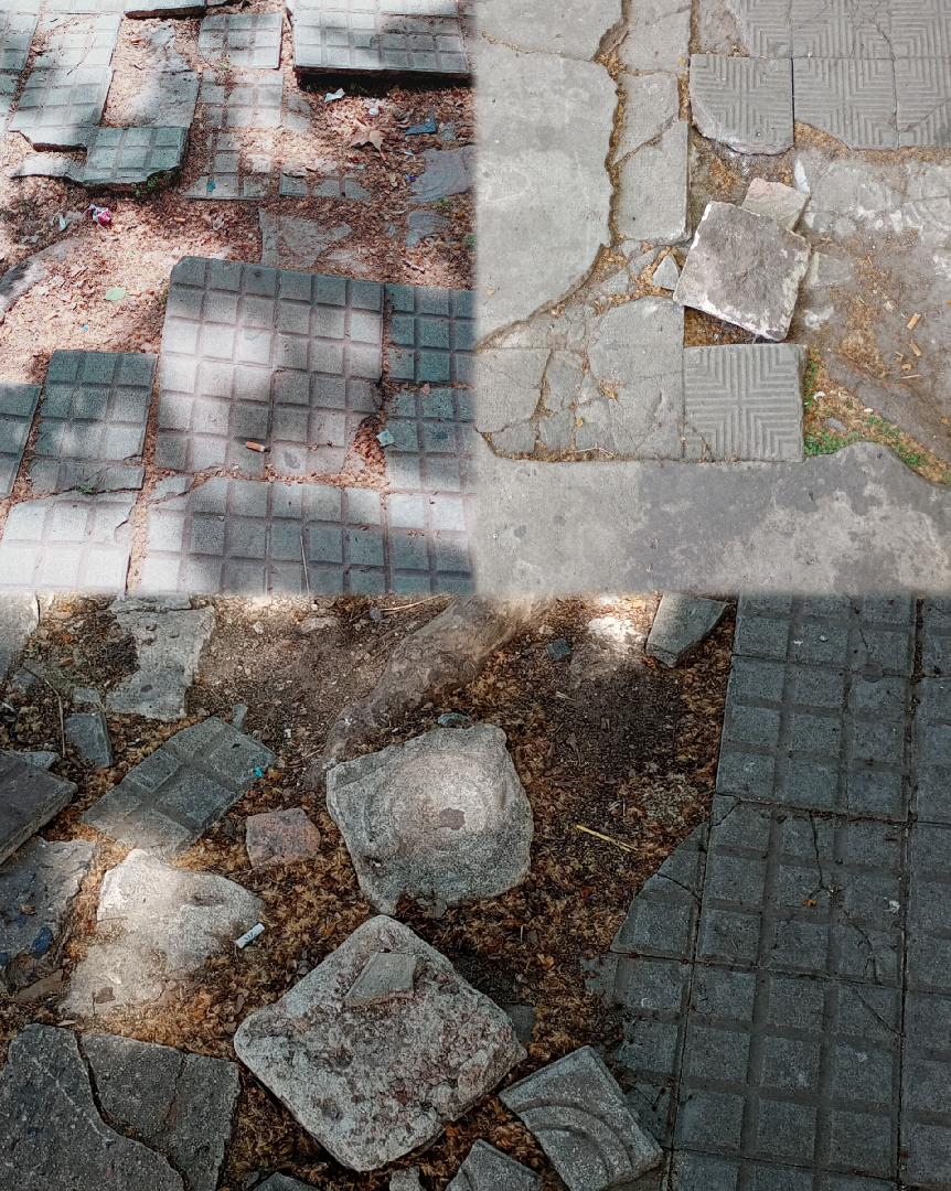 Estado de las veredas
