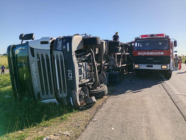 Hubo un saqueo de ganado tras el vuelco de un camión en Pergamino