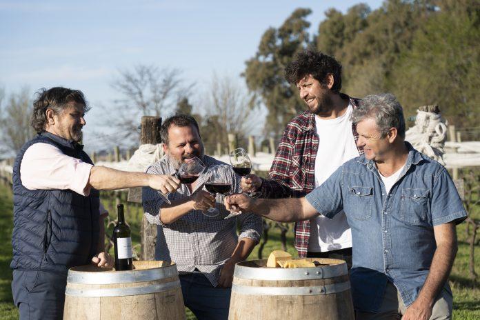 Las Antípodas, el viñedo que pone a Junín en el mapa del vino