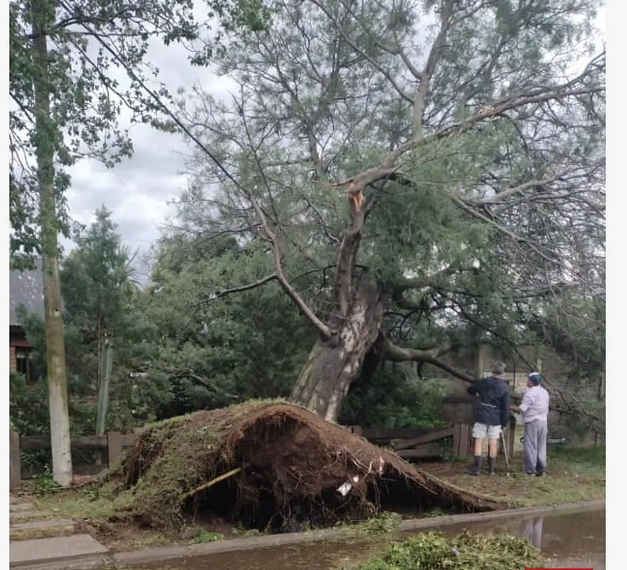 Destrozos en Trenque Lauquen, Pehuajó y Carlos Casares