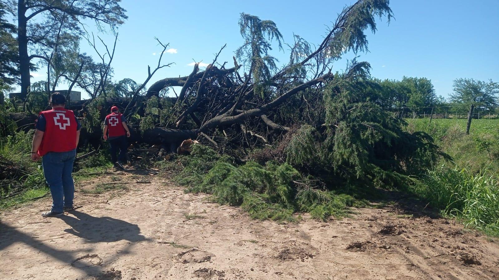 Se continúa trabajando para reparar los daños causados por la tormenta del domingo