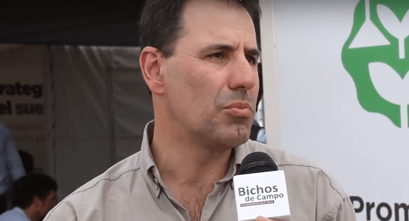 'Es un movimiento que crece de abajo hacia arriba'