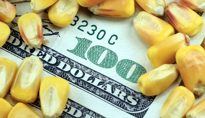 El campo sufre las consecuencias de un dólar barato