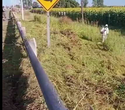 El Gobierno local está haciendo mantenimiento de banquinas y rotondas