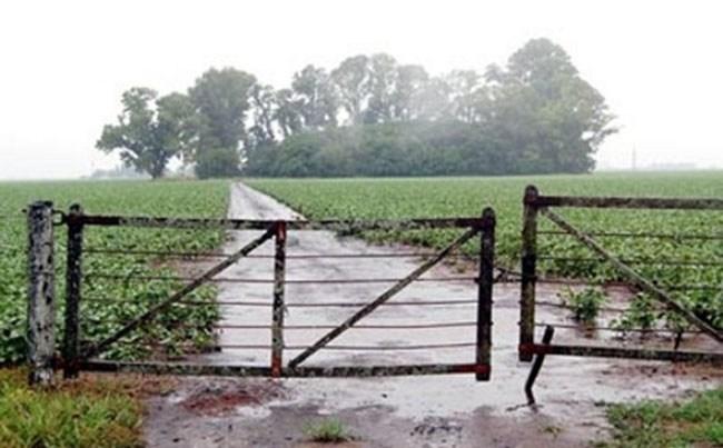 Alivio para el campo