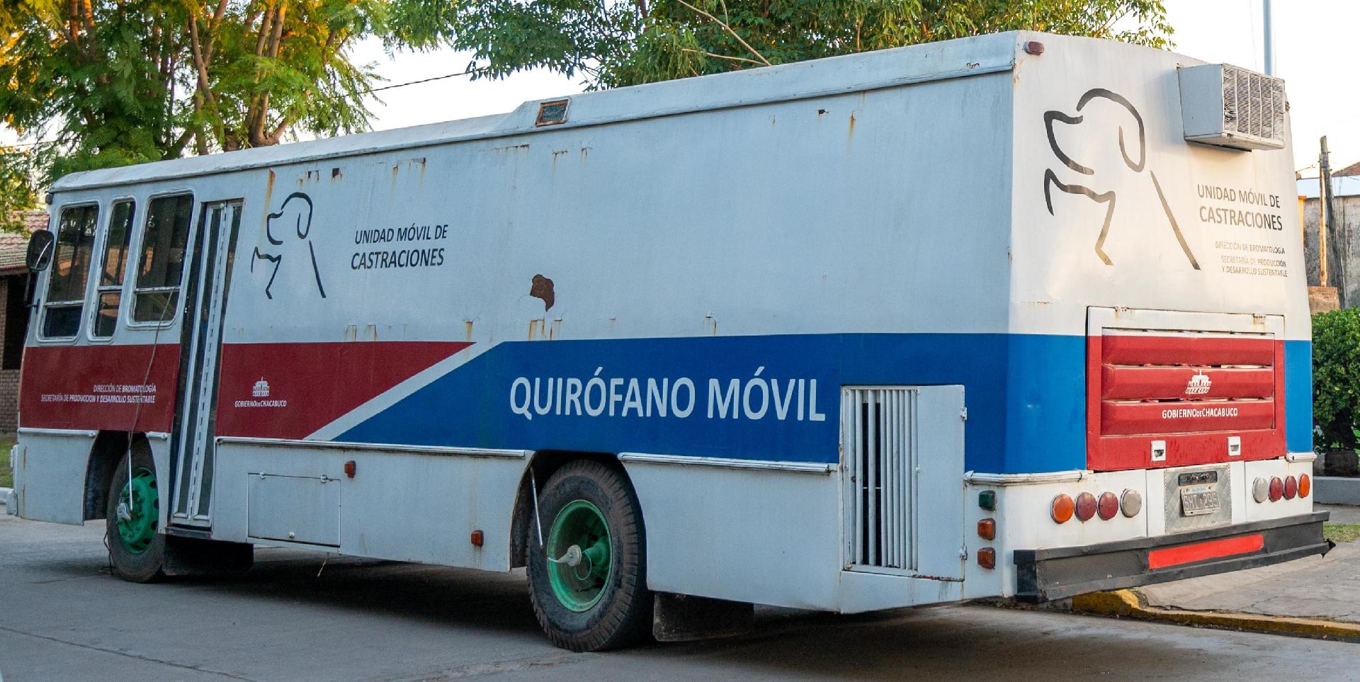 Vuelve a ponerse en marcha el colectivo de castraciones