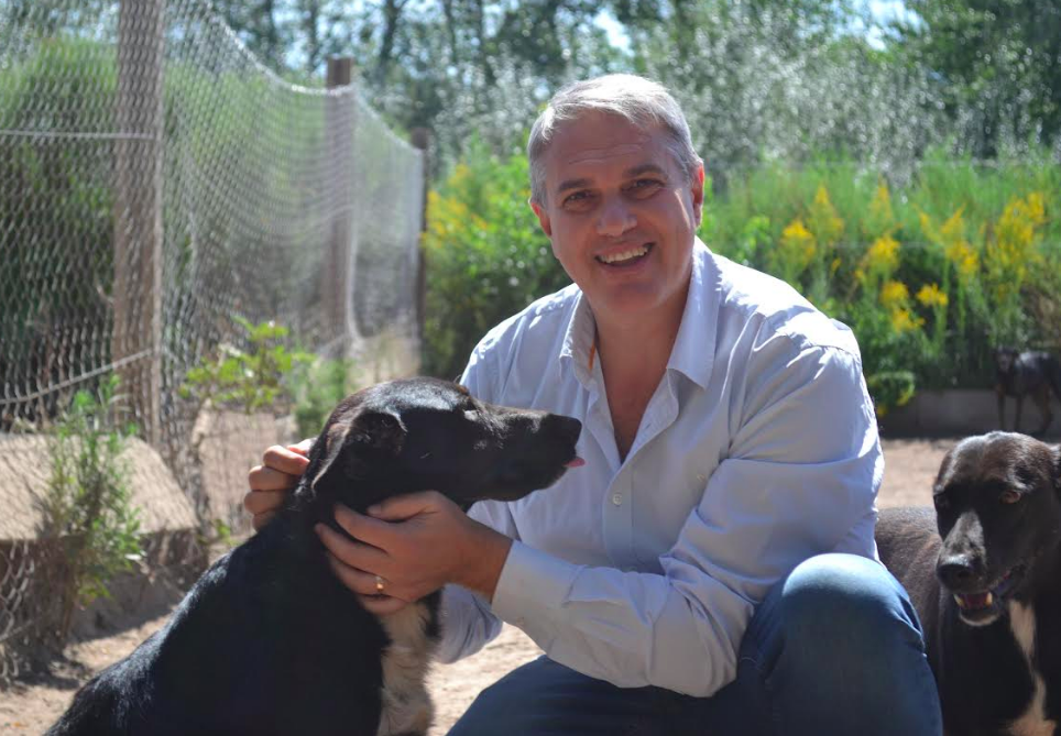 'Hay 75 perritos que necesitan una familia'