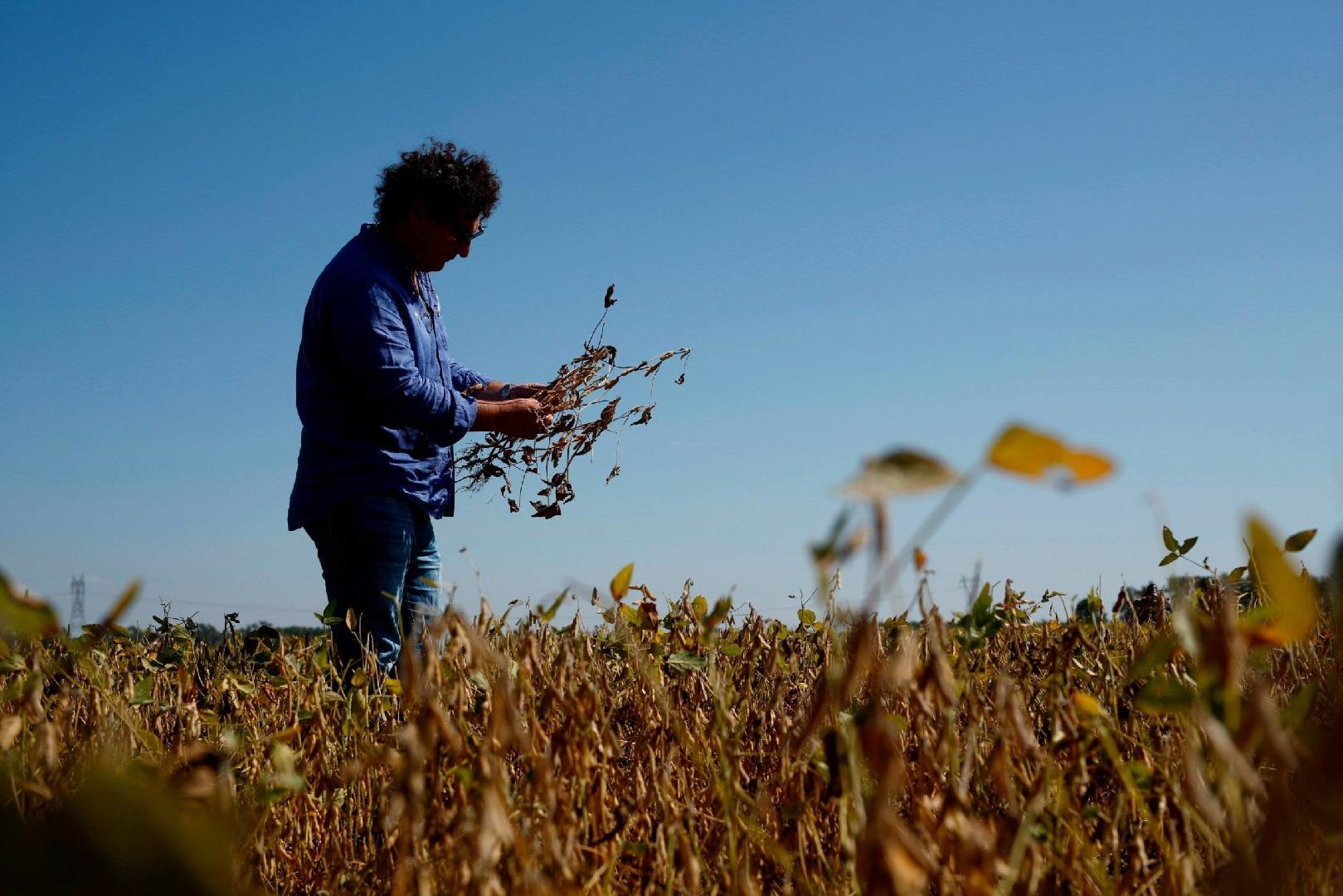 Productores sin rentabilidad ni confianza