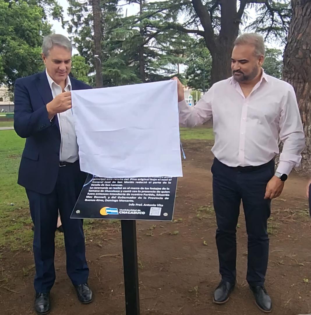 Descubren placa en retoño del Pino de San Lorenzo