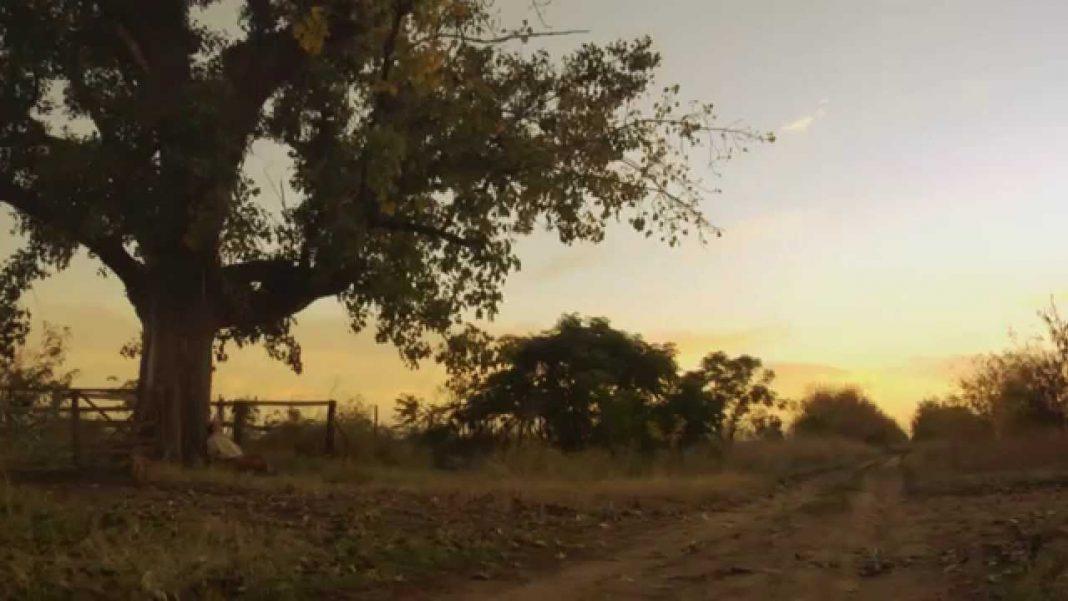 El camino