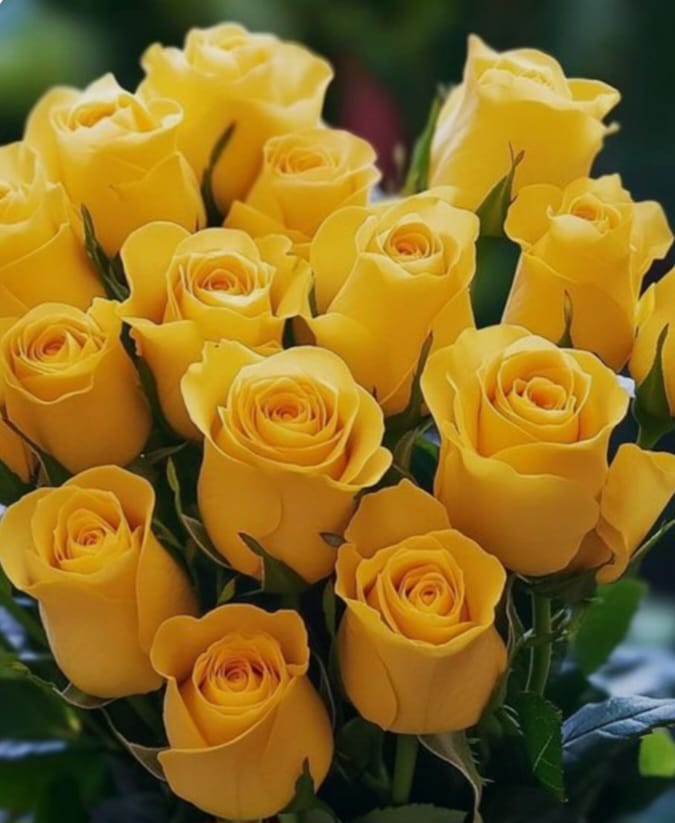 Flores amarillas, una historia sin nombre