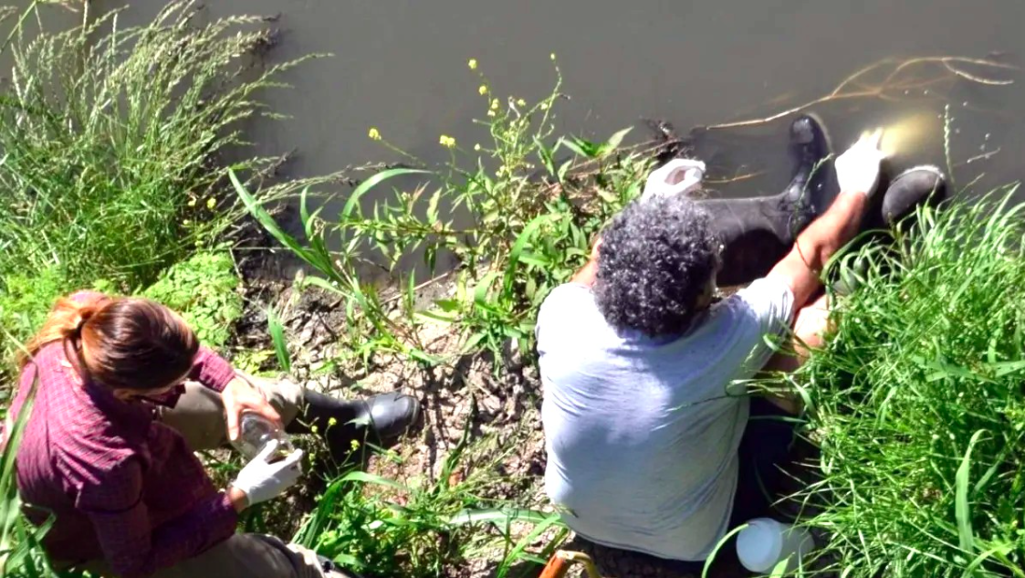 Hallan toxicidad letal en arroyos de Santa Fe y Entre Ríos