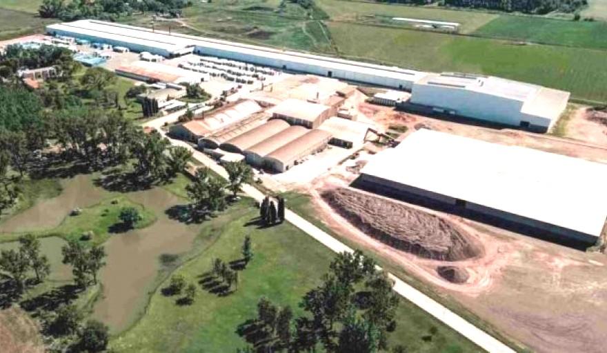 Comenzó la etapa de despido en Cerámica Cortines