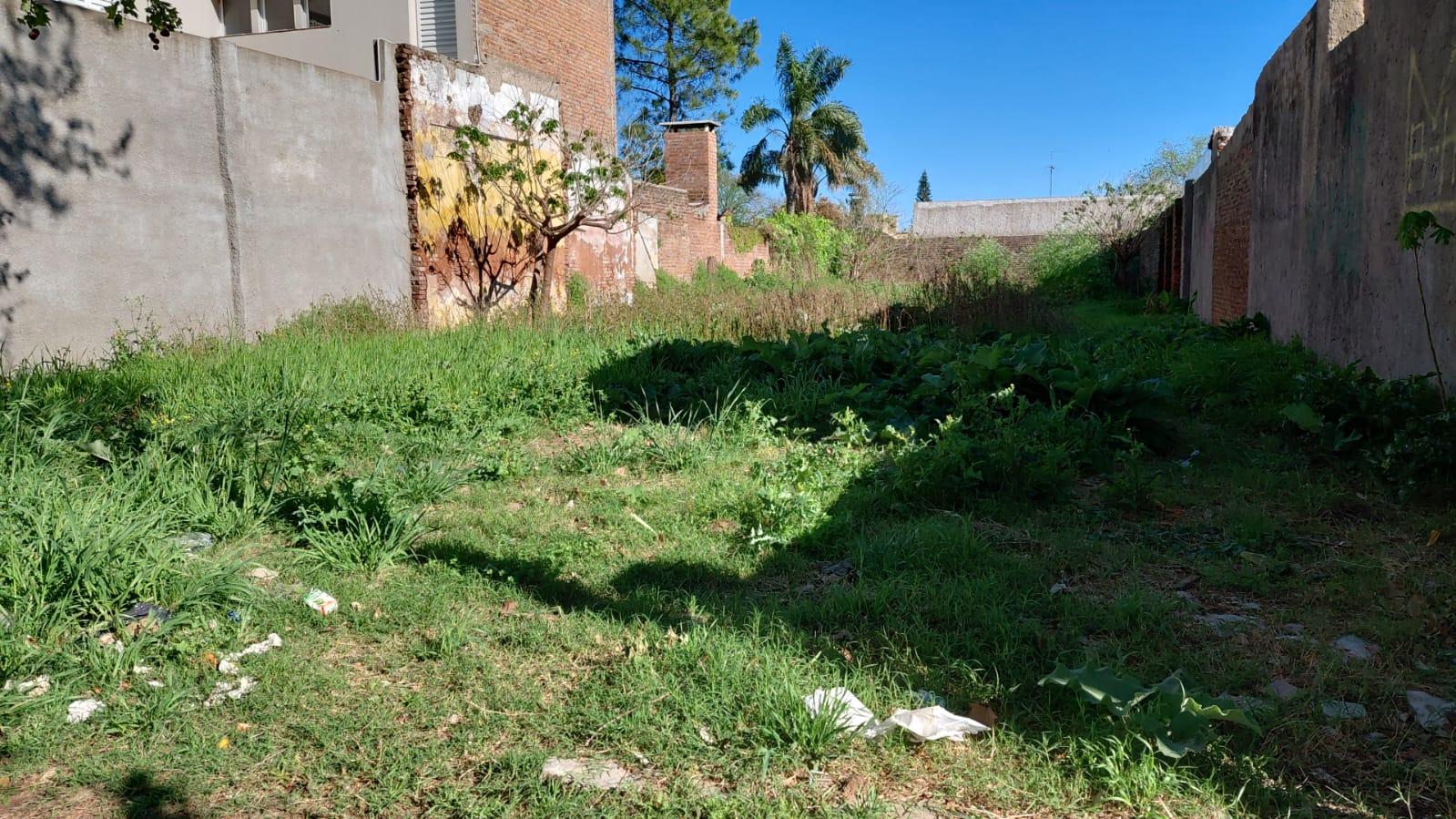 El Gobierno convoca a los vecinos a mantener la limpieza de terrenos y frentes