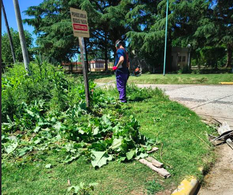 Multas y corte de veredas por focos de dengue y alimañas
