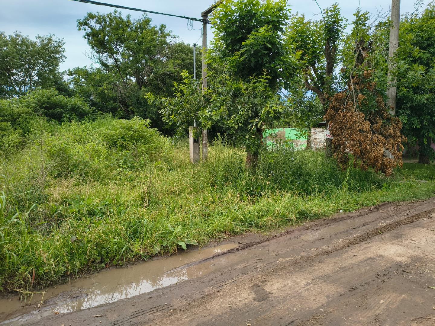 La Dirección de Inspección Municipal recuerda la obligación de mantener en condiciones las veredas y terrenos 