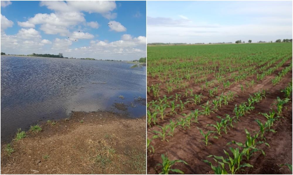 'Estamos abocados a que el sector productivo no se inunde'