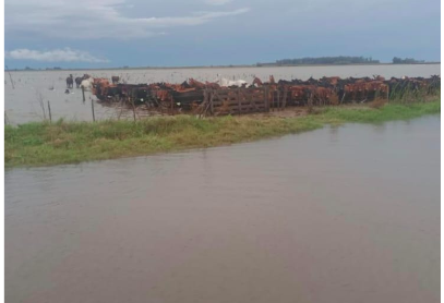 Absurdo: Milei discrimina a Chacabuco y lo deja afuera de los fondos por la Emergencia Hídrica