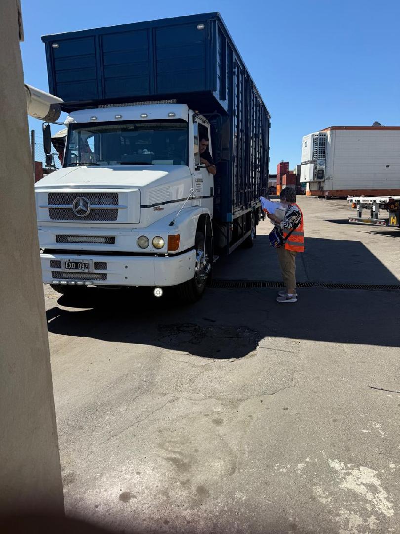 Este martes llega el nuevo resonador al Hospital Municipal de Chacabuco