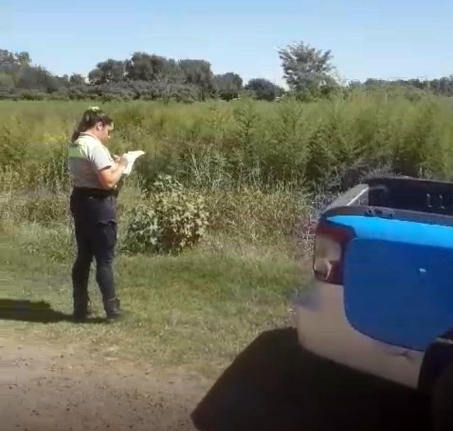 Es obligatoria la limpieza y el mantenimiento de terrenos baldíos en Chacabuco