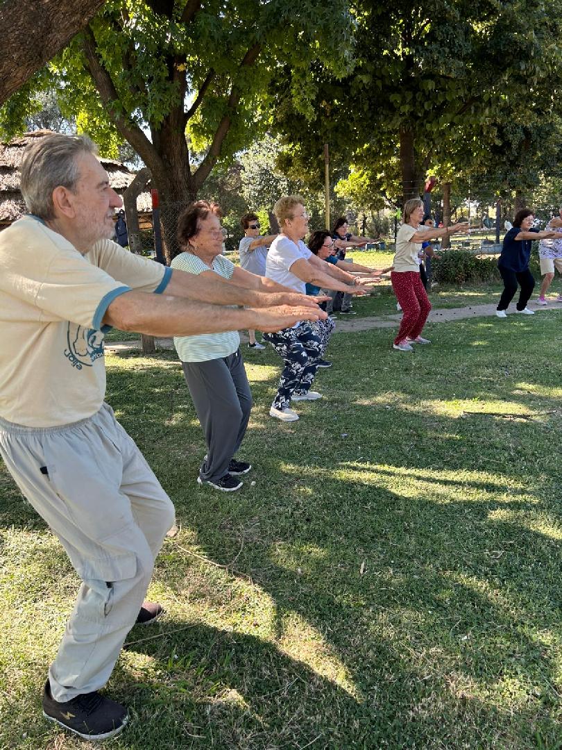 Horarios de la Colonia de Adultos Mayores en Movimiento