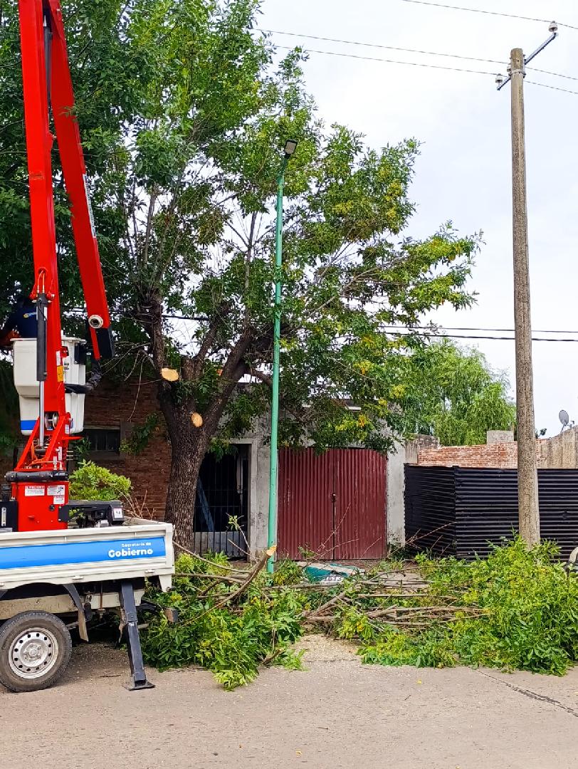 Trabajos de despeje de luminarias en distintos sectores de la ciudad