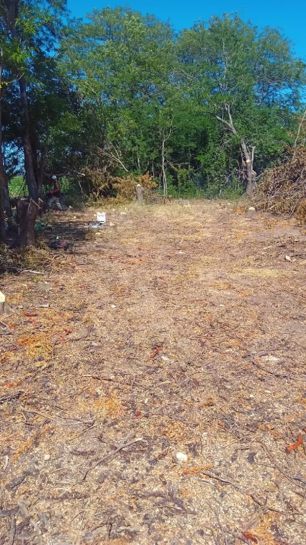 El Municipio trabaja intensamente en el camino a San Patricio