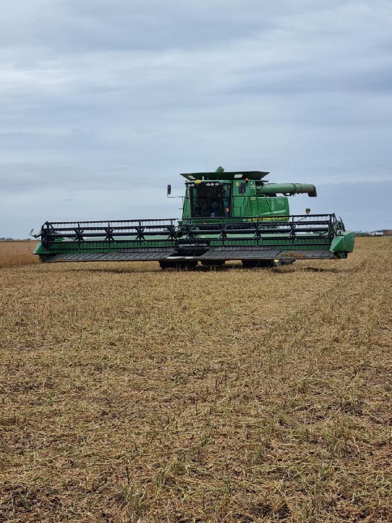 'Vamos a tener una cosecha muy buena'