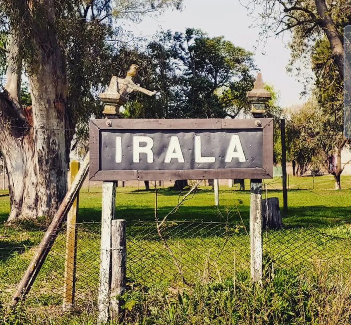 Investigan la muerte de varios perros en Irala