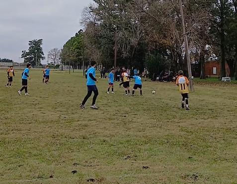 Actividades de la etapa local 