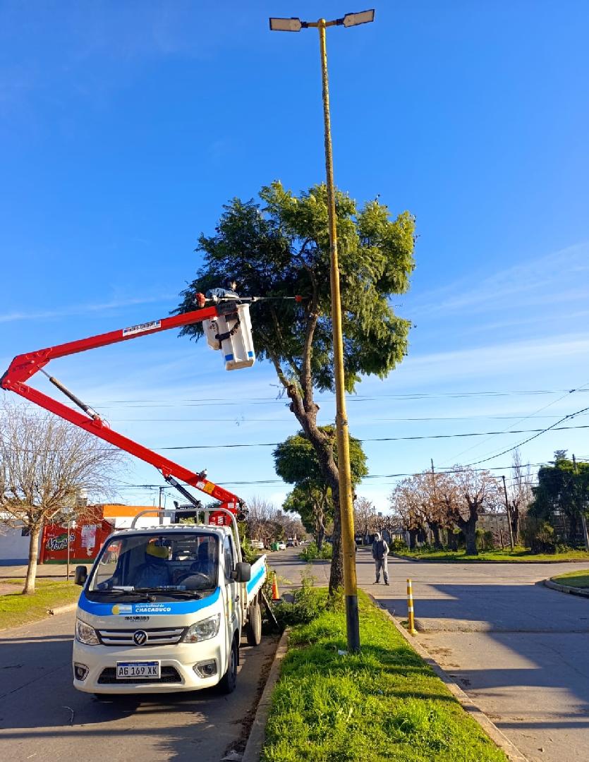 Podan árboles que obstruyen la iluminación pública