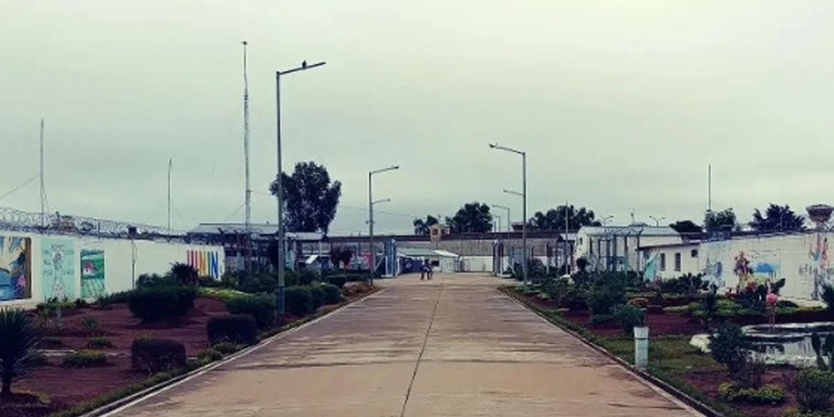 Hay un brote de triquinosis en la UP 49 de Junín con 18 infectados