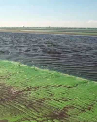 Chacabuco está entre los distritos bonaerenses en alerta naranja por cianobacterias
