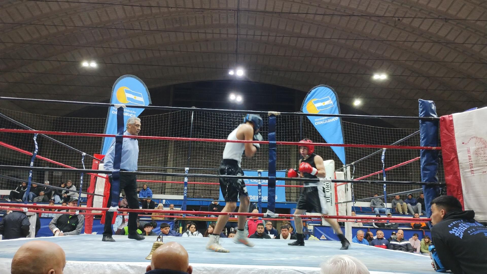 Gran Festival de Boxeo en el polideportivo