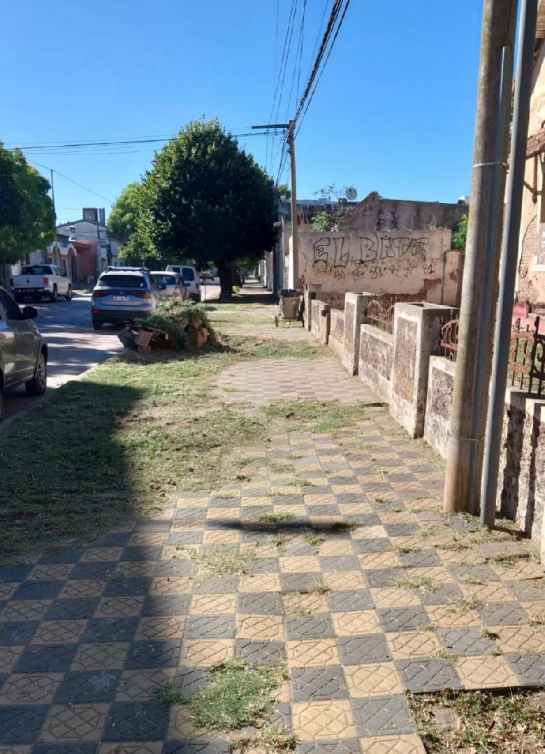 Responsabilidad de los frentistas sobre el arbolado urbano